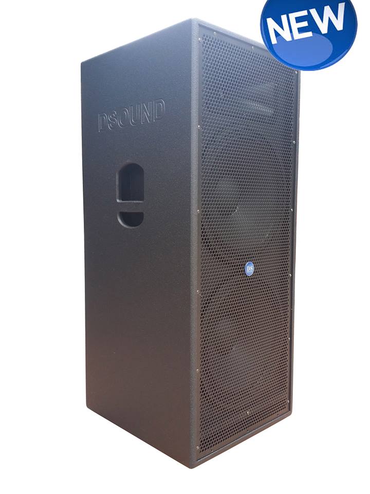 D-Sound Drx-215Pro 1000X2 Watts