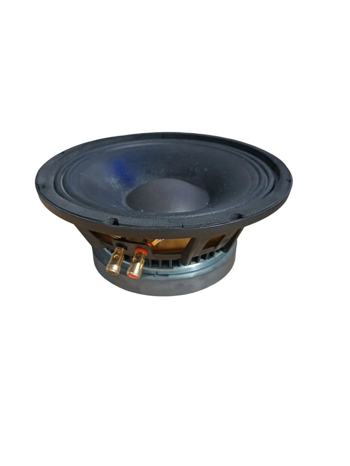 Bofmann BF LS250 10 İnç 850 Watt Alüminyum Kasalı Çıplak Hoparlör