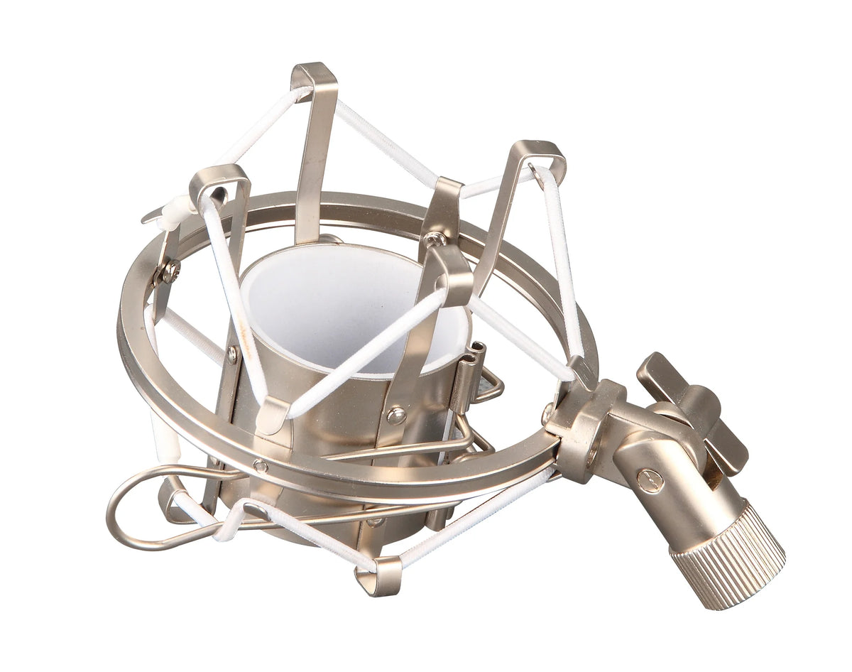 D-Sound Shockmount Gümüş M-80