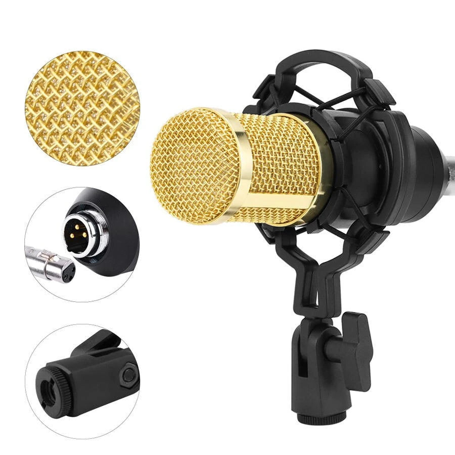 Oxid Bm-800 35Mm Condenser Mikrofon ve Ses Kartı Uyumlu Xlr-Xlr