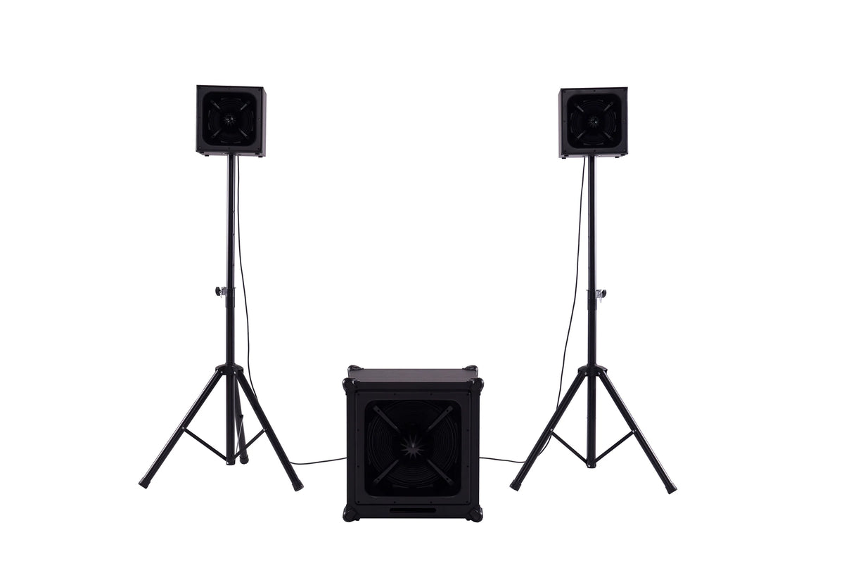 DSound ARY-1528 Subbass Speaker Set