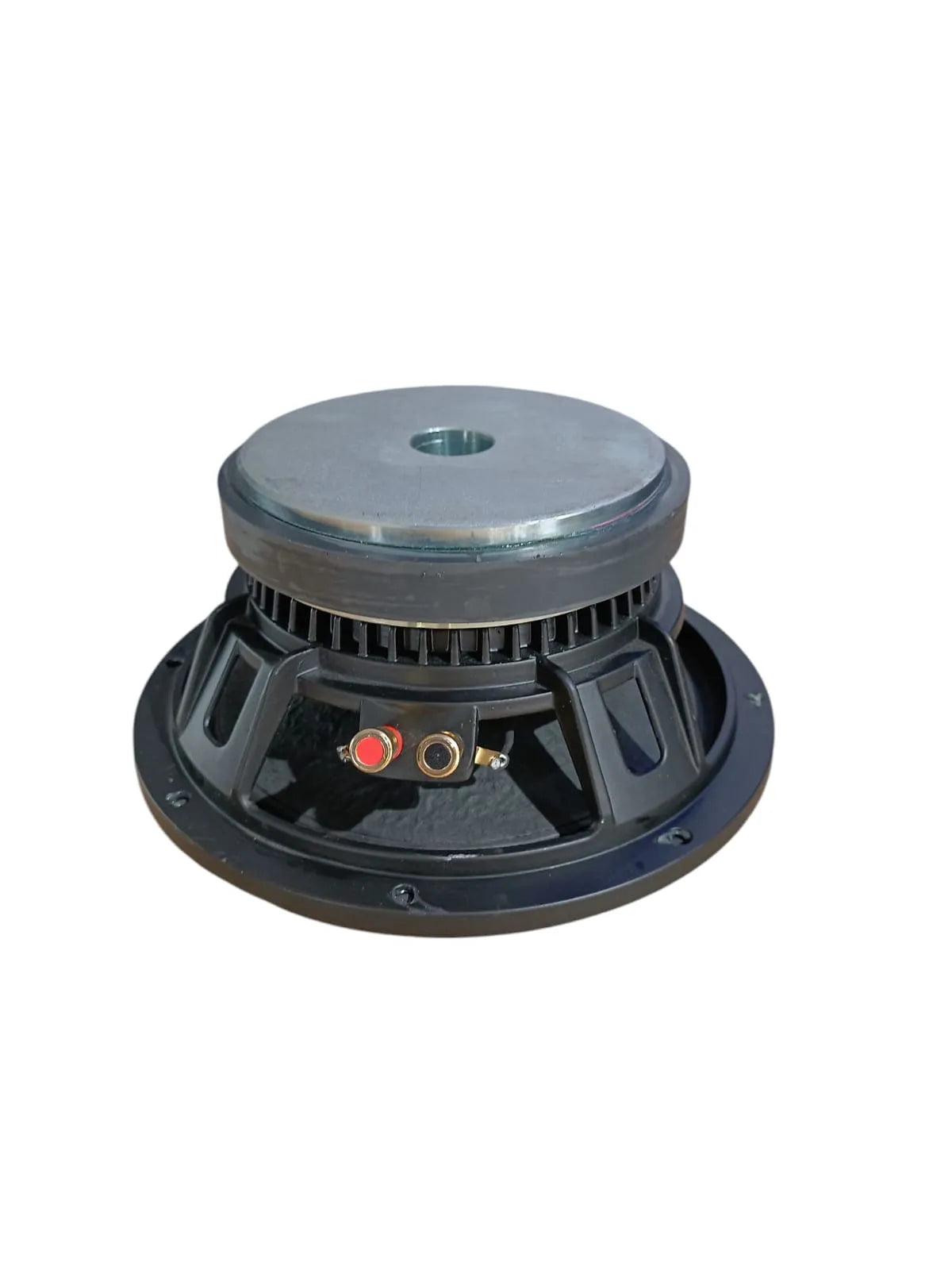 Bofmann BF LS250 10 İnç 850 Watt Alüminyum Kasalı Çıplak Hoparlör