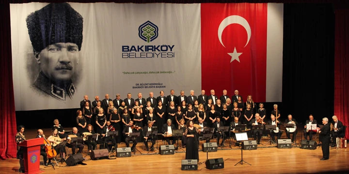 D Sound Ds-337S Tiyatro Koro Kamera Fotoğraf Makinası Mikrofonu
