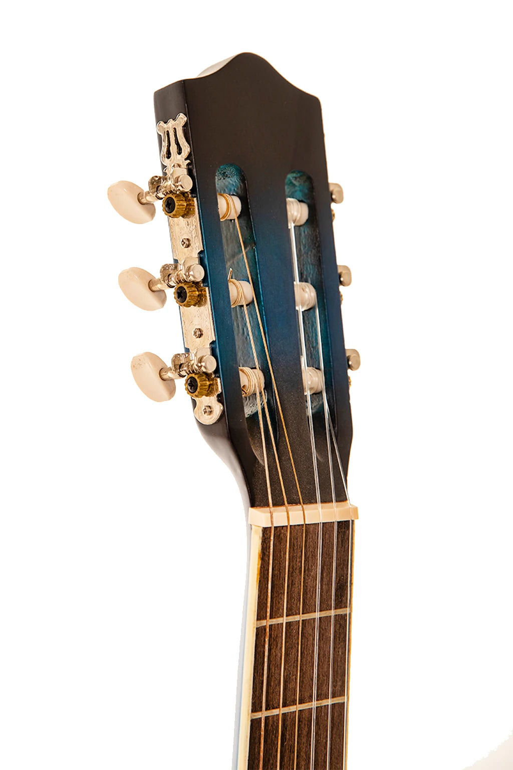 Carissa Cg-155C Bls Klasik Gitar
