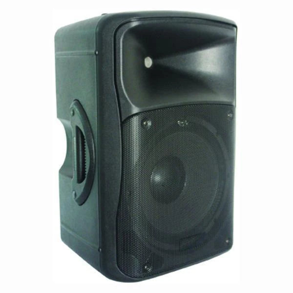 D-Sound Ds-1212 30Cm Passive Plastic Speaker