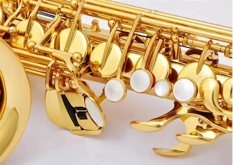 Müller Mas-1001 Alto Saxophone