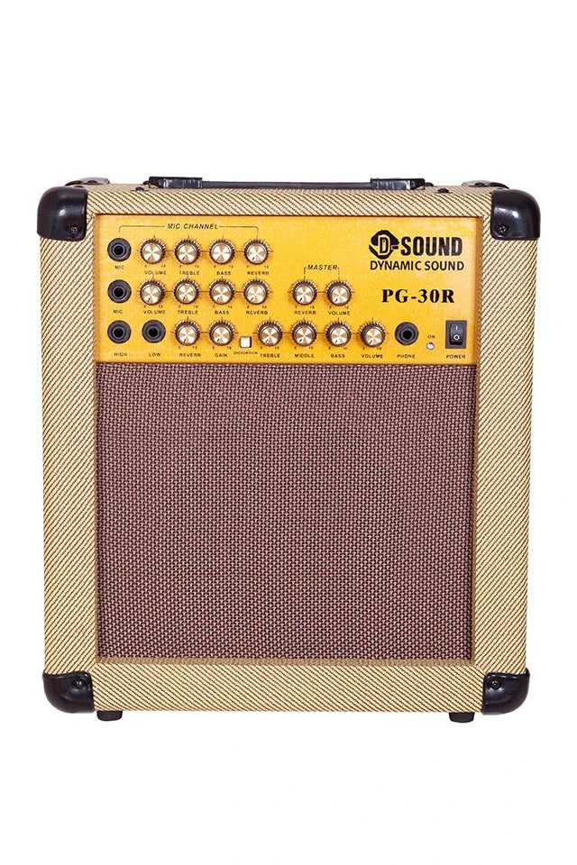D-Sound Pg-30R Enstruman Amfisi