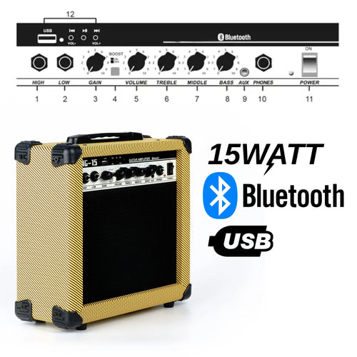 Ag-15 Watt Çift Giriş Enstruman Amfisi