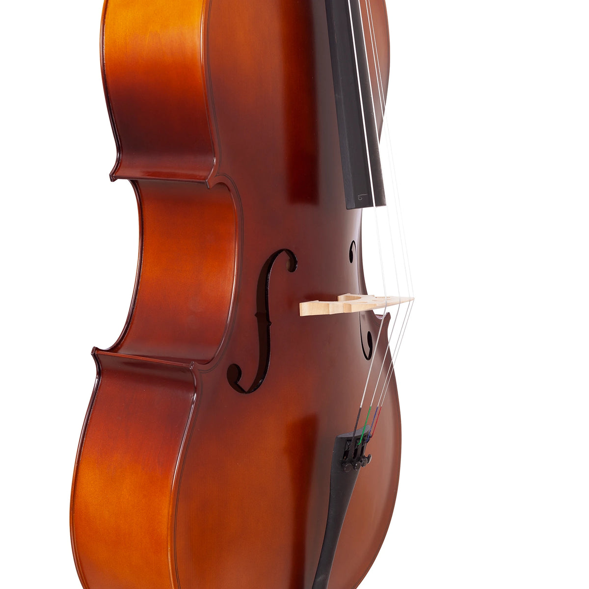 Bremen 4/4 Çello Tam Boy Bc-019F