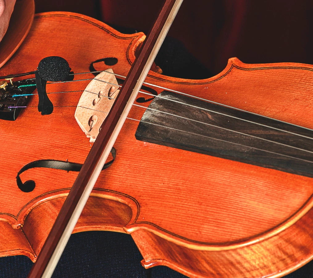 Prodipe VL-21 Lanen Keman & Viola Mikrofonu