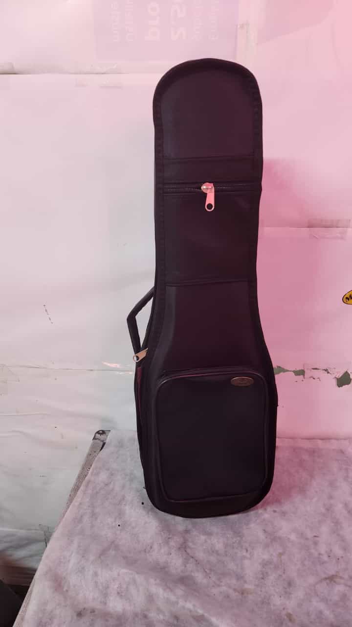 Keman Kılıfı Gigbag