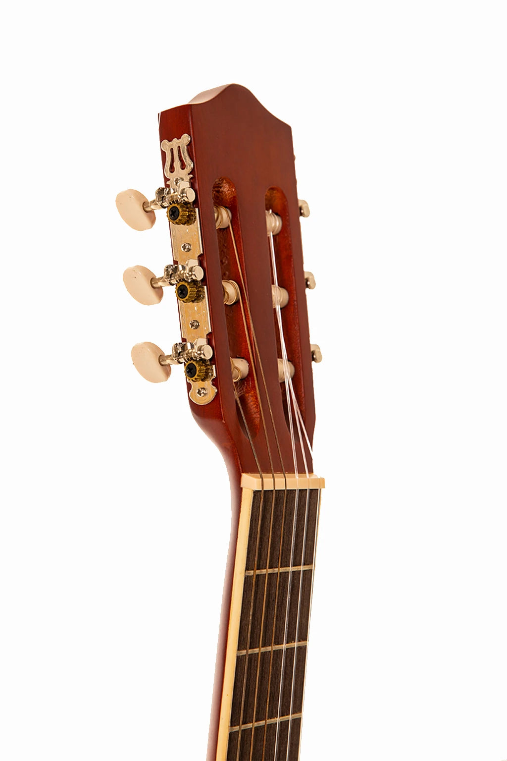 Carissa Cg-155C Sb Klasik Gitar